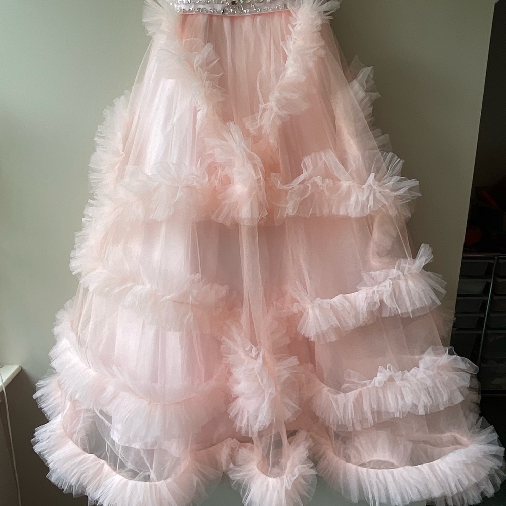 Pink Ruffled Gown with Flutter Sleeves - Picture 3 of 15